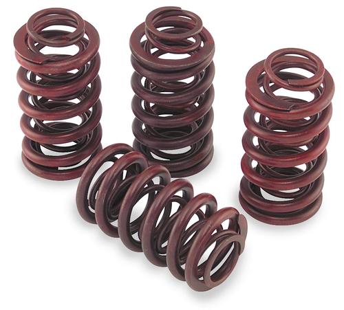 Andrews .550in. Lift Valve Springs Motorcycle Street - 294150