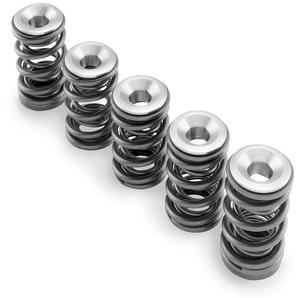 Hot Cams Valve Spring Kit ATV - UTV - SKYFM660S2